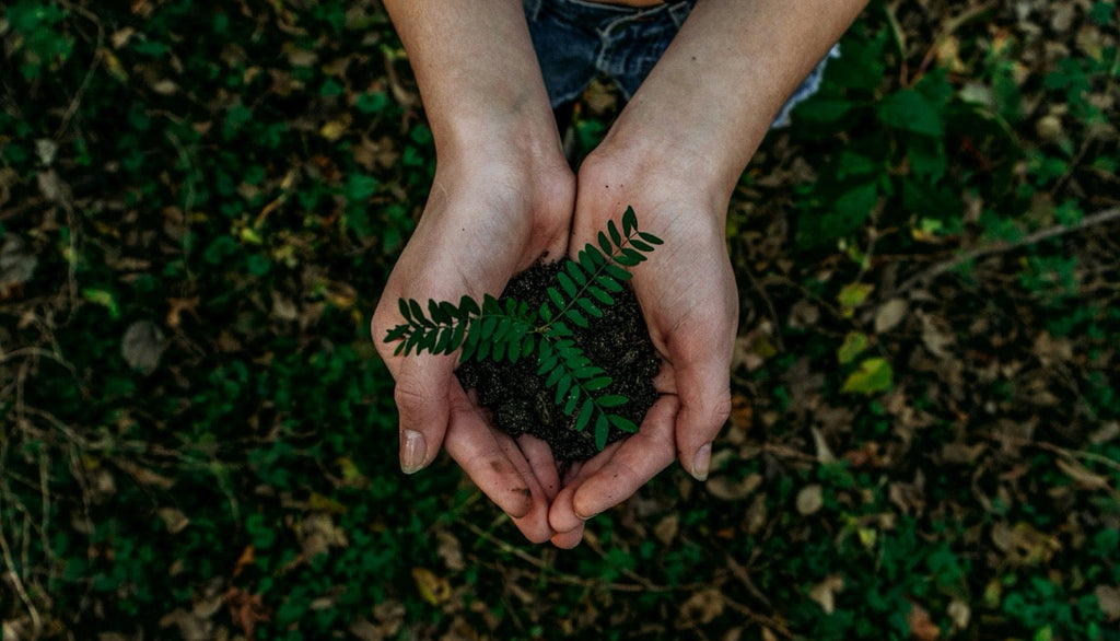 Beleza que Floresce: O Guia Essencial para Cosméticos Sustentáveis